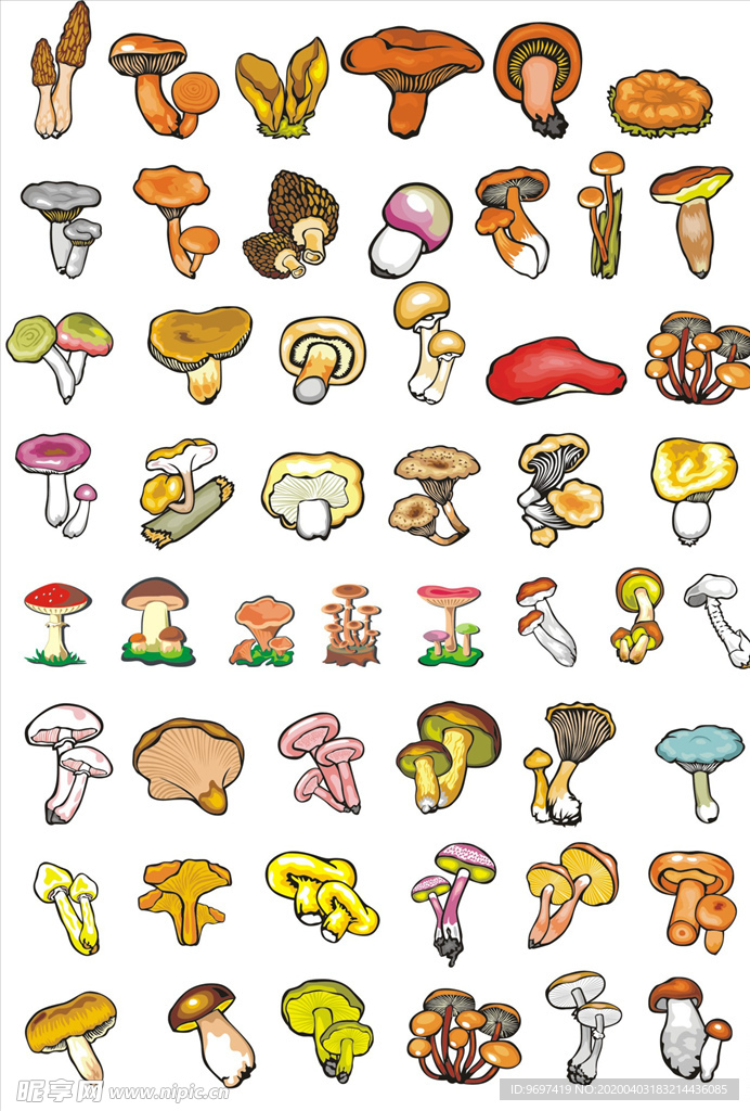 矢量蘑菇菌类