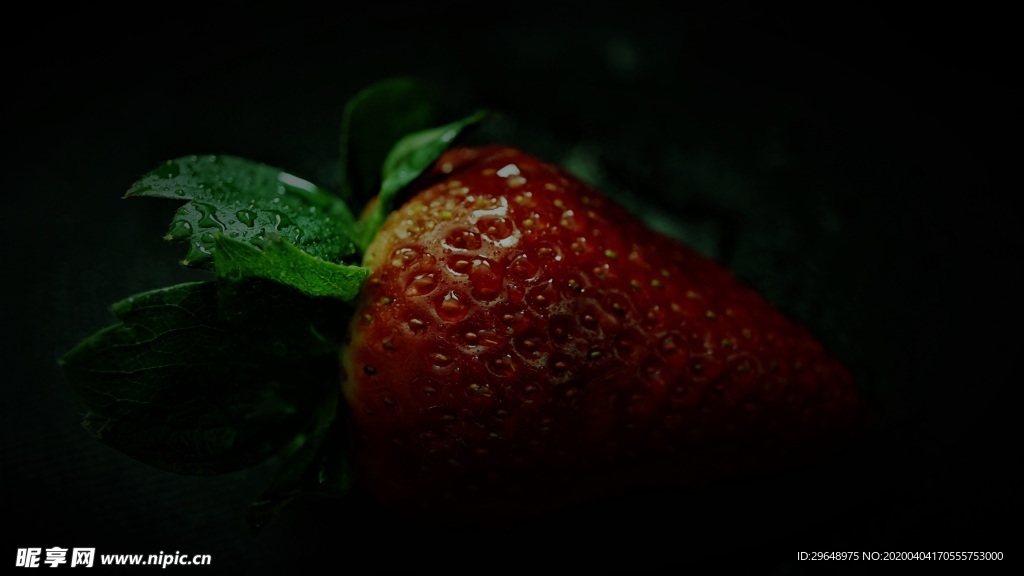 草莓 奶油草莓 新鲜草莓 新鲜