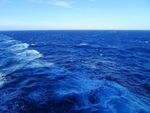 大海