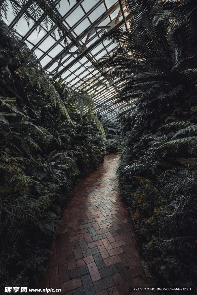 植物園綠植