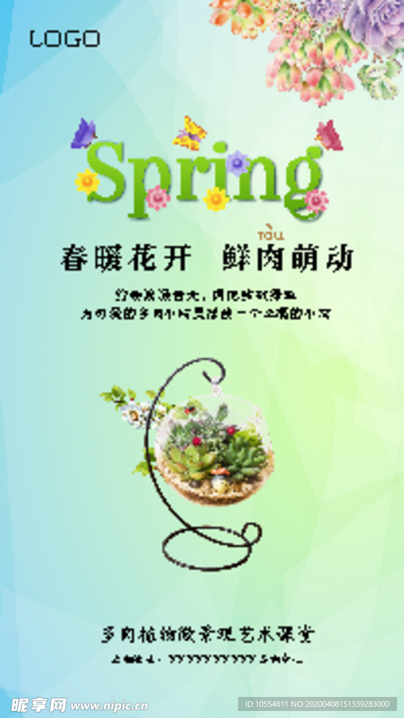 多肉植物