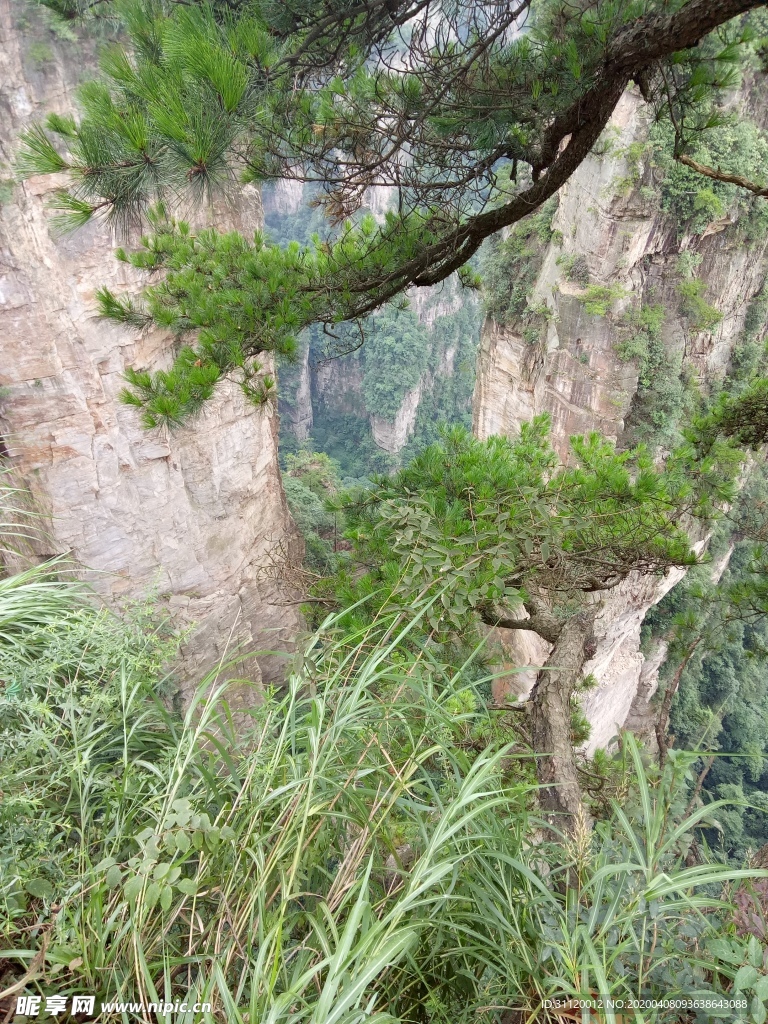 山崖
