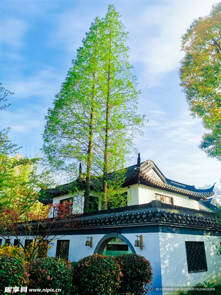 小院