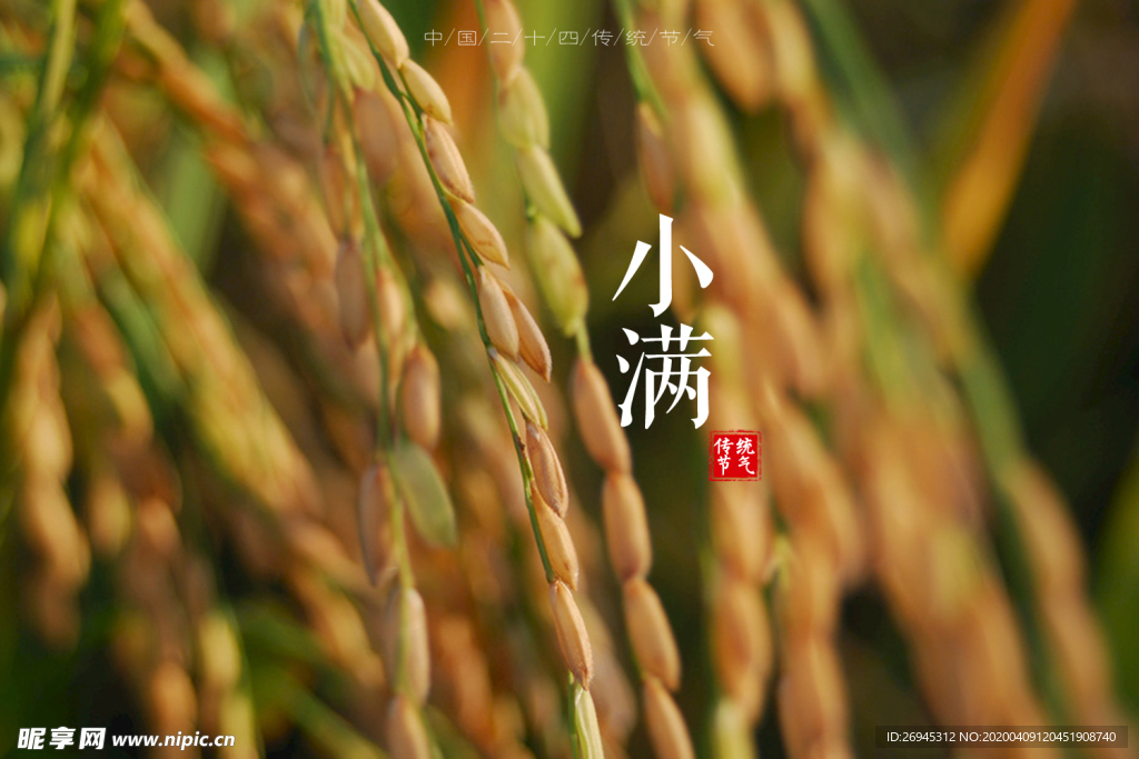 小滿