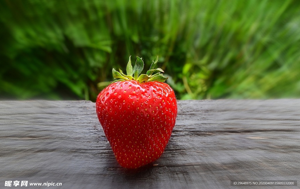 草莓 草莓特写 草莓摆拍 夏天