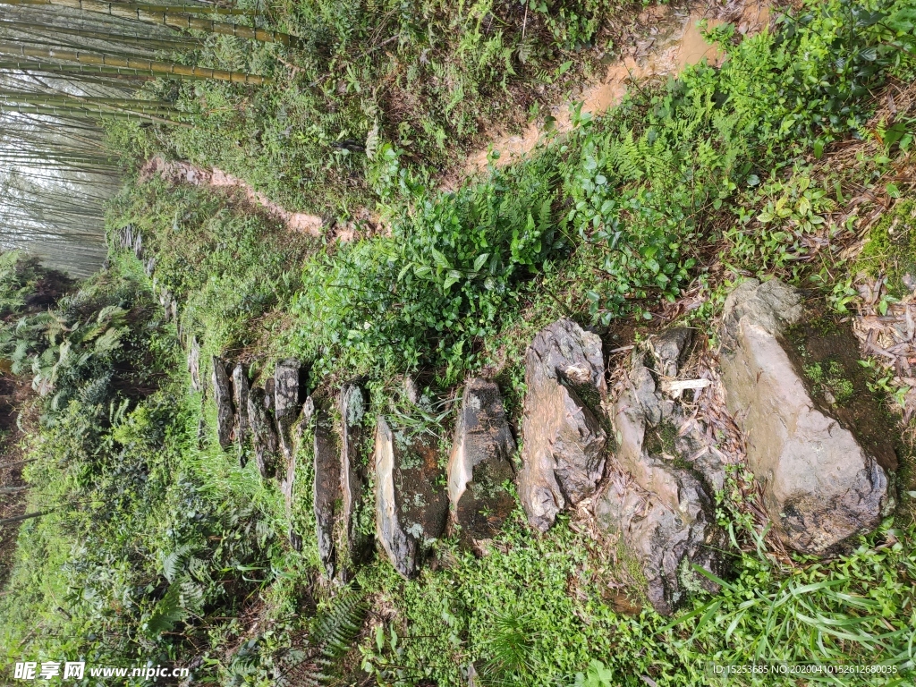 石頭山路