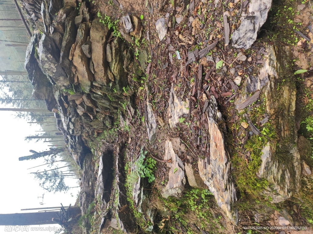 石頭山路