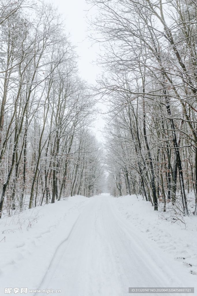 雪景道路
