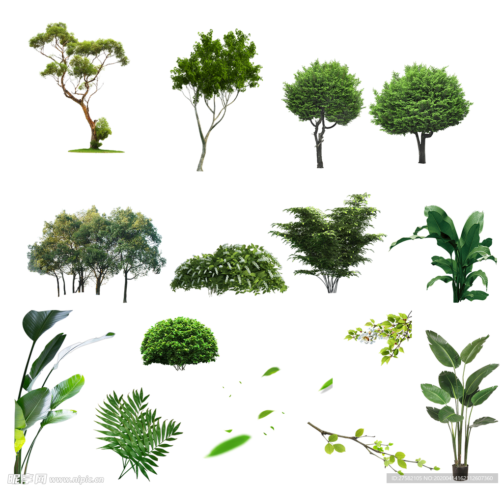 树植物绿植灌木丛落叶素材免抠