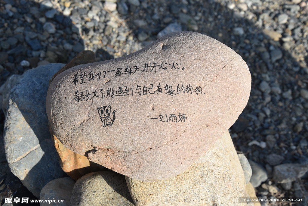 愛狗一刻