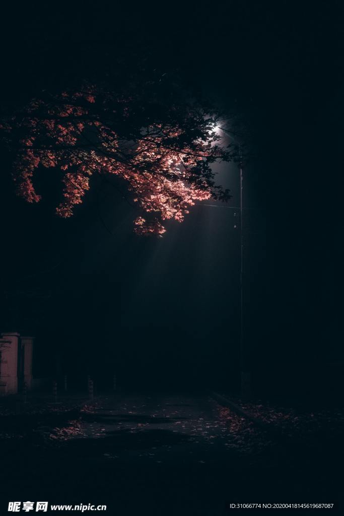 夜晚街道