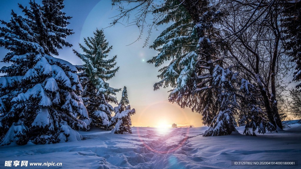 雪景 冰雪世界