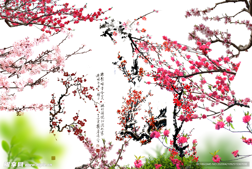 梅花素材