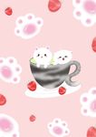 茶杯貓