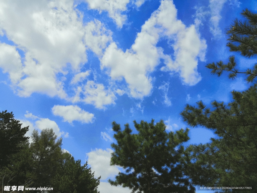 蔚藍(lán) 天空