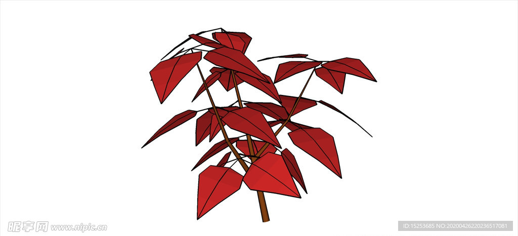 紅葉植物