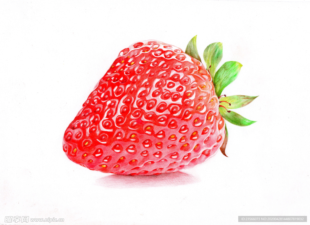 草莓绘画