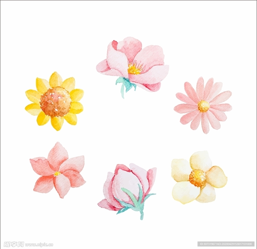 水彩花朵