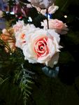 白玫瑰 假花