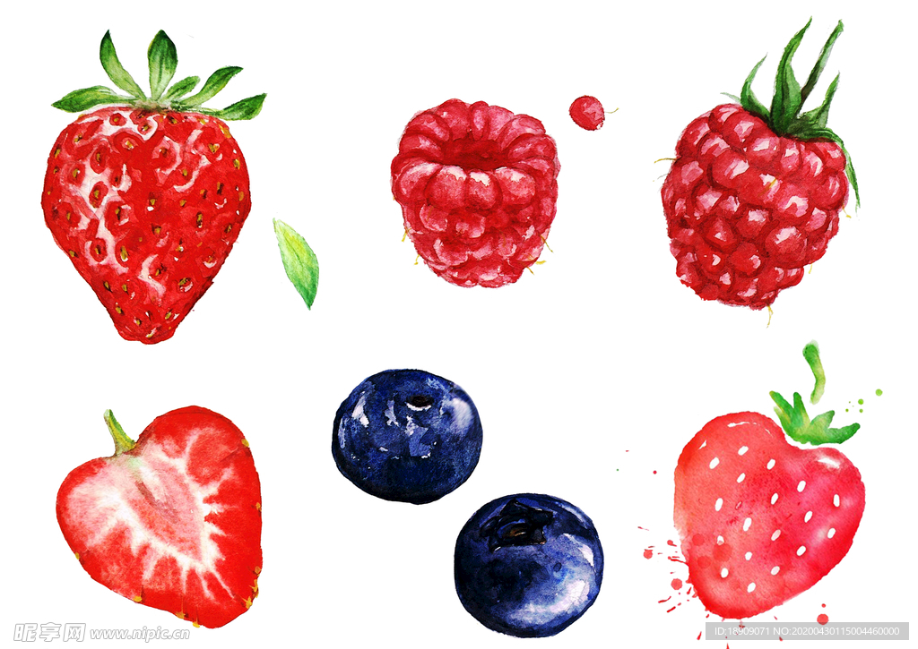 手绘草莓蓝莓