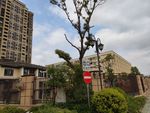 武漢街拍