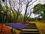 花園