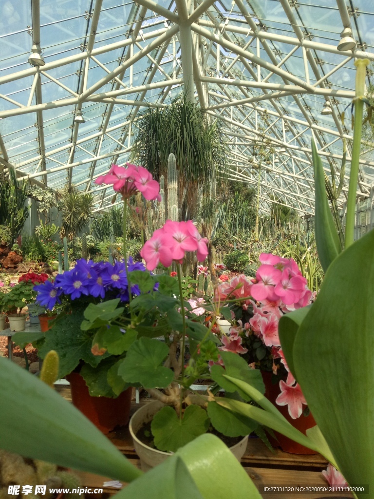 植物园温室花卉