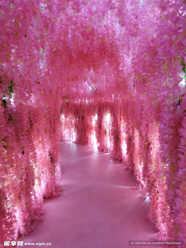 花的通道