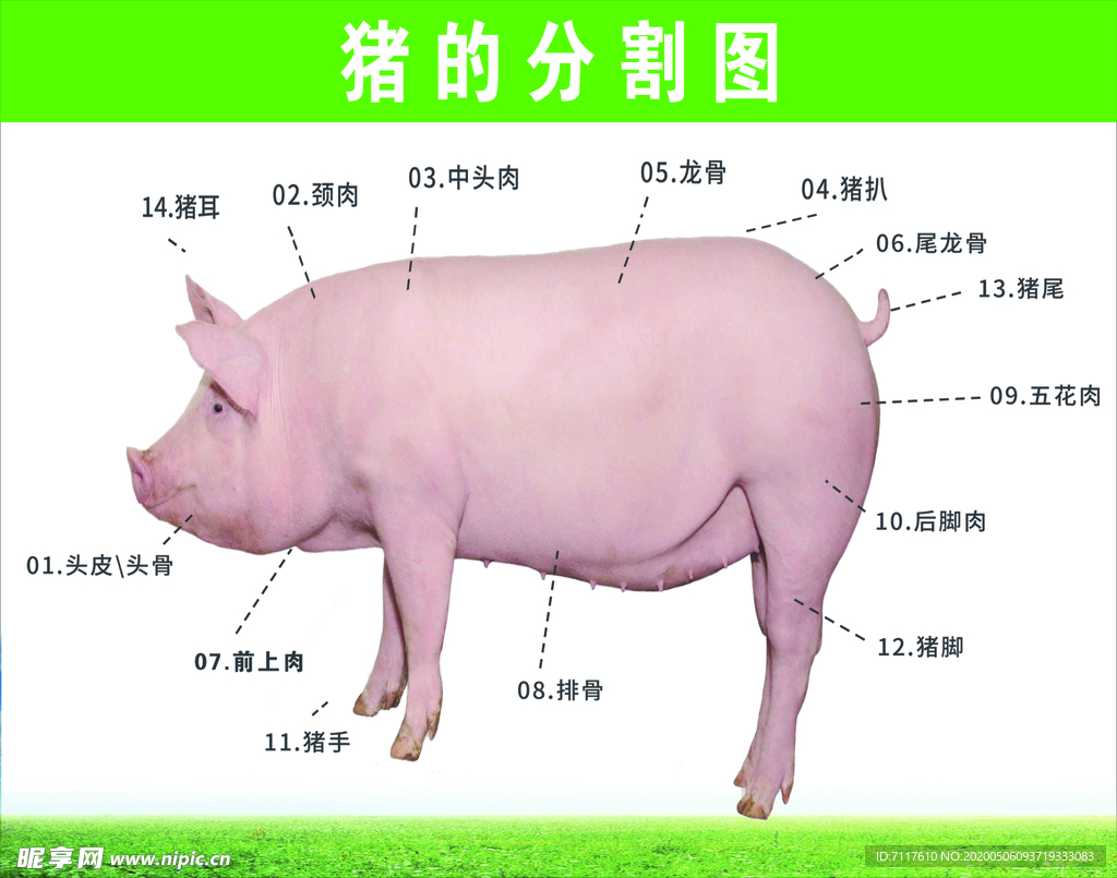 豬肉