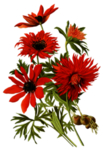 复古鲜花植物装饰图案