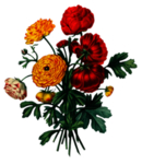 复古鲜花主题装饰图案