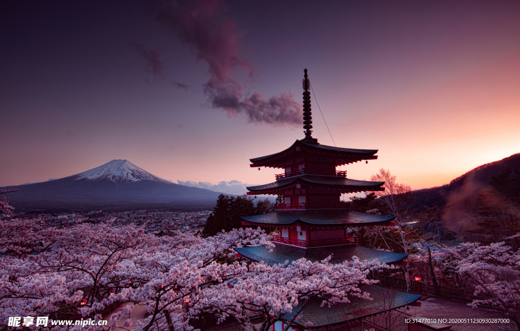日本富士山樱花塔  jpg 摄