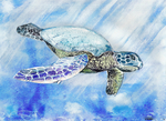 水彩海龟油画