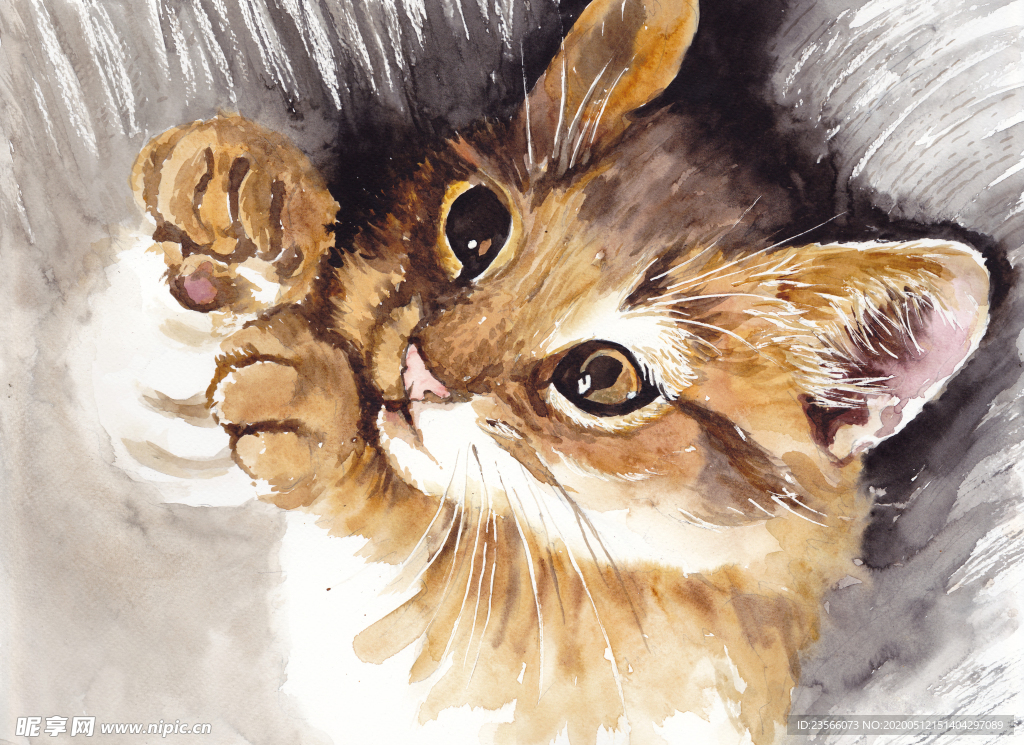 可爱动物小猫咪油画
