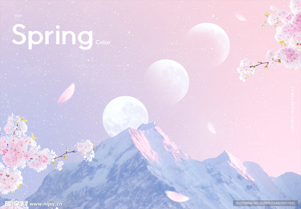 粉色樱花节春天海报PSD模板