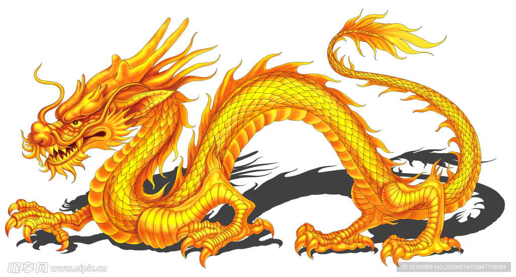 金龍3D立體畫