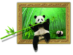 大熊猫3D装饰图