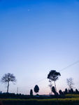 夏日夕陽