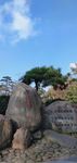 廬山之美