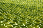 慕尼黑奥林匹克体育场绿色座椅