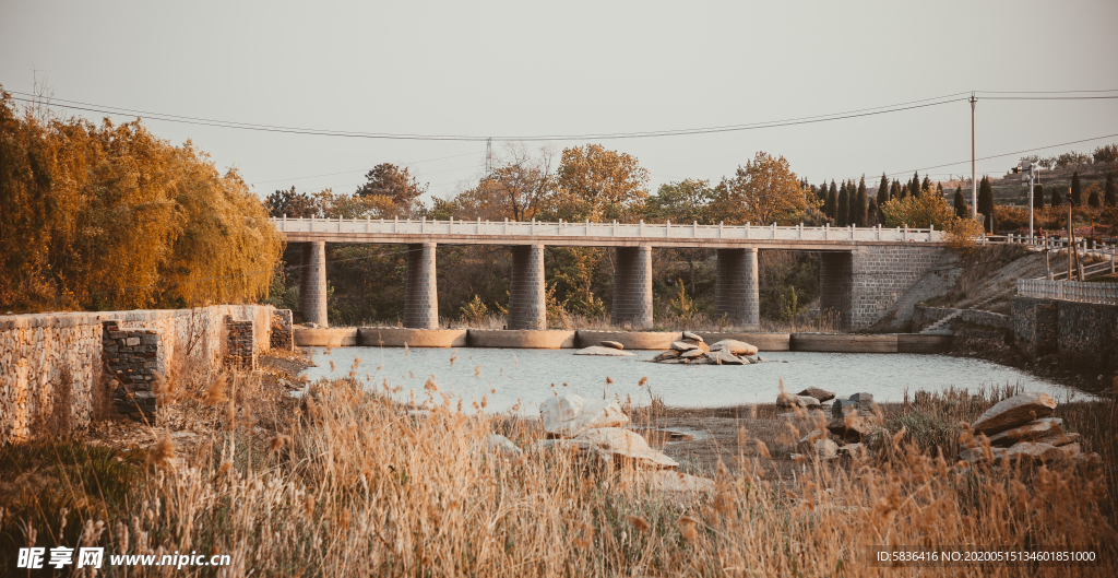 橋