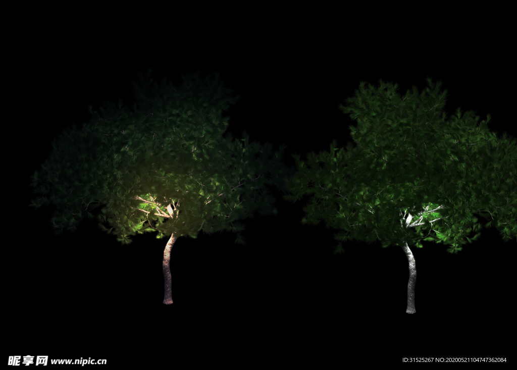 夜景树照明设计素材