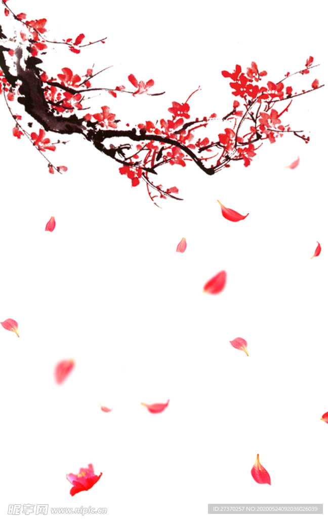 古风红色梅花和飘落的花瓣