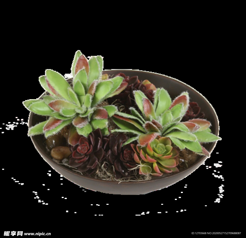 免摳背景花草樹木