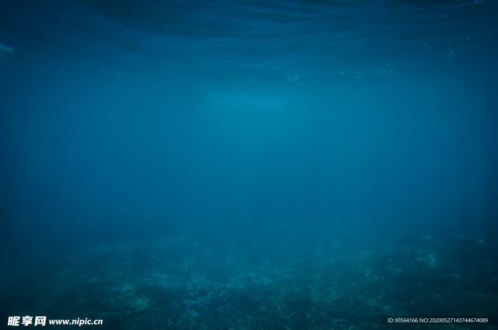海洋海底自然合成背景素材