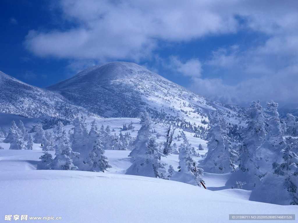 茫茫雪海