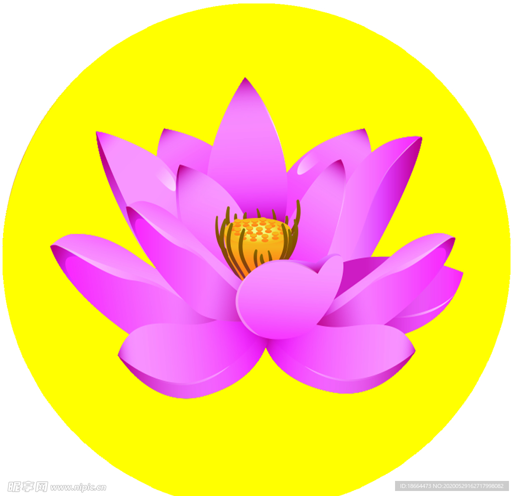 蓮花不干膠