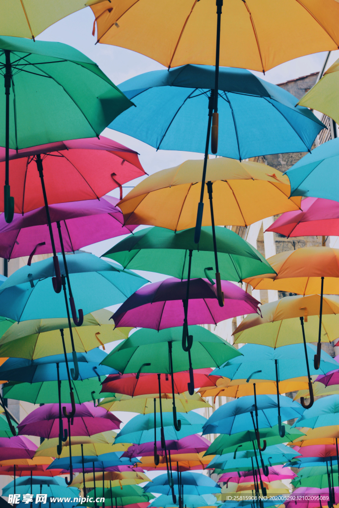 雨伞花伞遮阳伞折叠伞图片