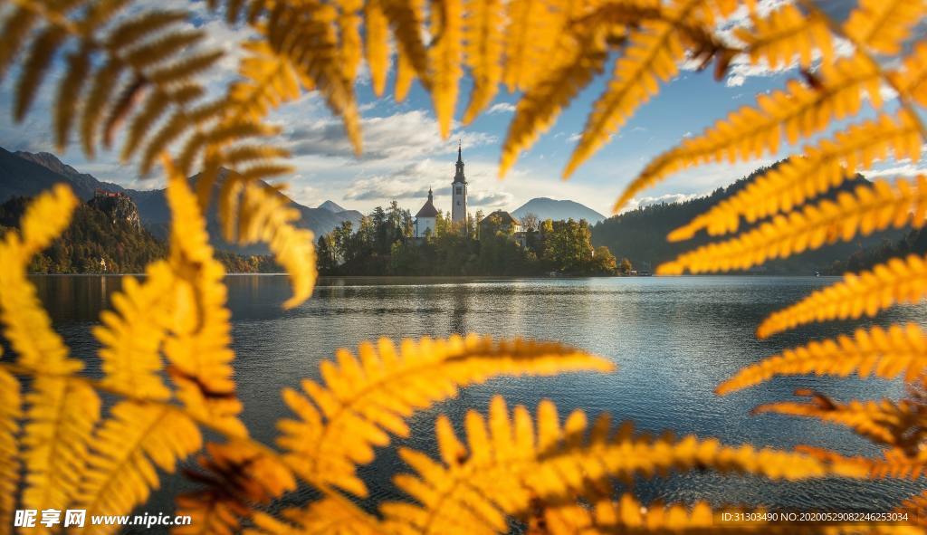 葉縫美景