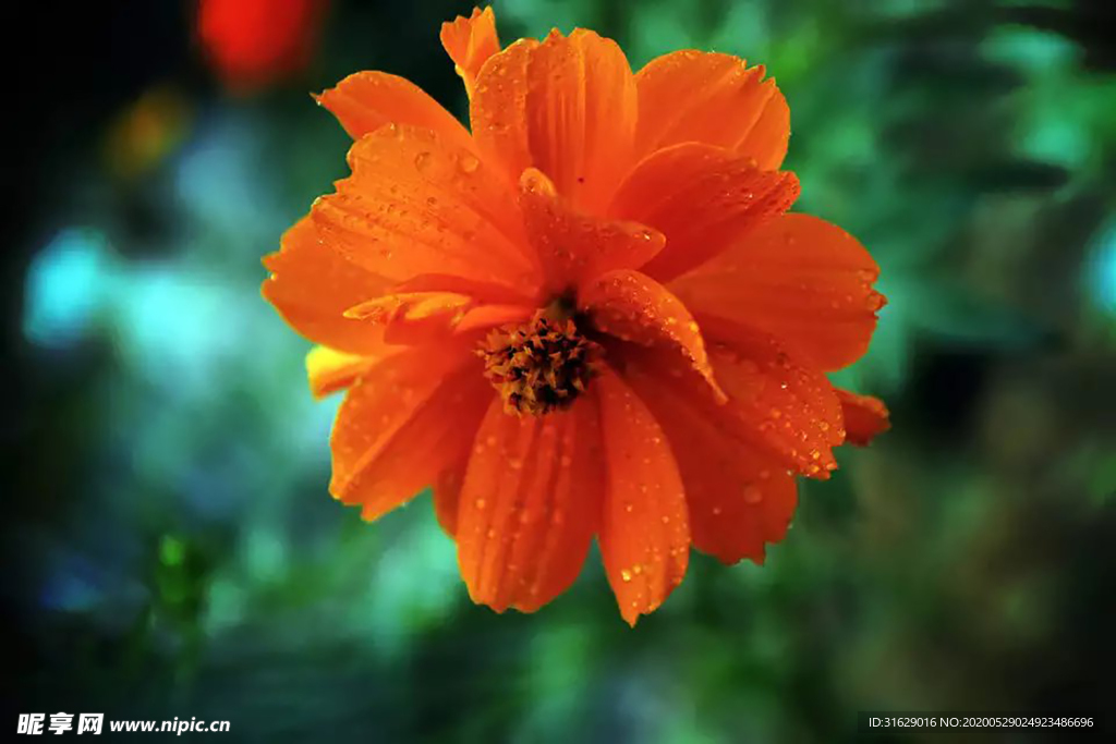 花